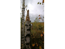 IMG 20200919 115216.jpg