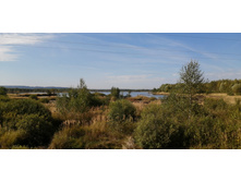 IMG 20200906 095709.jpg