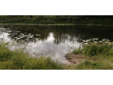 IMG 20200913 125706.jpg