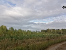 IMG 20200918 155157.jpg