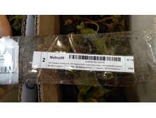 IMG 20200914 103100.jpg