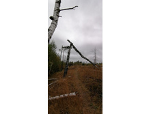 IMG 20200919 132800.jpg