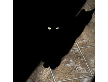 �������� � ���, �� ԣ���� ������� ...