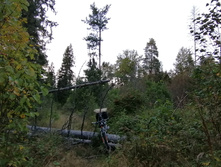 IMG 20200912 180142.jpg