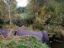 IMG 20200919 103002.jpg