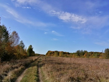 IMG 20200927 110515.jpg