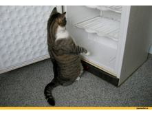 ���? ��� �ӣ �� ���� �������?