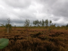 IMG 20200919 120455.jpg