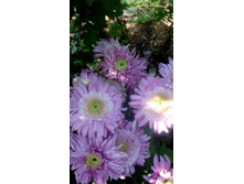 IMG 20200906 113842.jpg