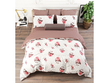 ������� ������ 220 ��