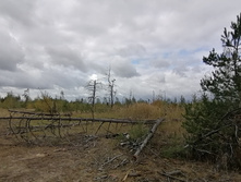 IMG 20200916 113206.jpg