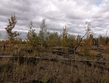 IMG 20200914 152716.jpg