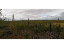 IMG 20200918 133349.jpg