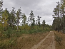 IMG 20200918 152515.jpg