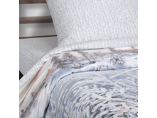 ��������� ����.jpg