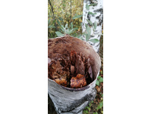 IMG 20200919 115111.jpg