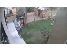 IMG 20200910 091242.gif