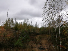 IMG 20200919 130106.jpg