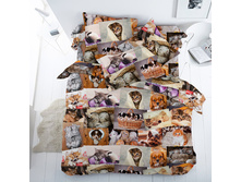 ���������� 13199-1 ���� ������� 150 ��