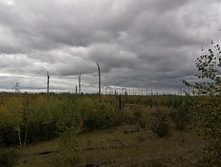 IMG 20200916 115824.jpg