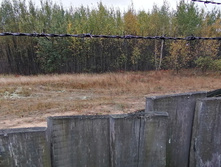 IMG 20200919 101542.jpg