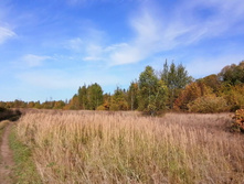 IMG 20200927 112925.jpg