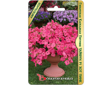 Petuniya-gigantskaya-kaskadnaya-tajfun-f1-khot-pink.jpg