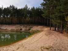 IMG 20200926 144655.jpg