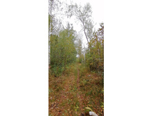 IMG 20200919 113138.jpg