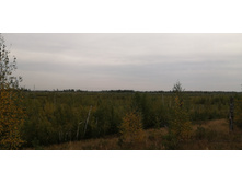 IMG 20200905 103625.jpg