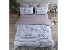 ����� ������ 220 ��.