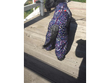 ����������� viber 2020-09-15 10-48-08.jpg