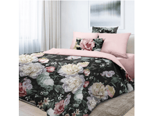 ��������� ������� 220 �� 6600-1