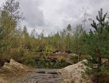 IMG 20200918 124417.jpg