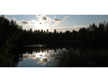 IMG 20200912 171746.jpg