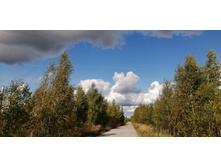 IMG 20200912 131856.jpg