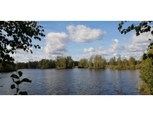 IMG 20200912 115159.jpg