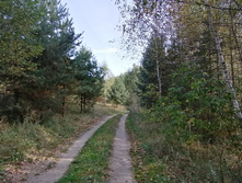 IMG 20200906 100816.jpg