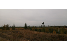 IMG 20200905 102959.jpg