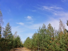 IMG 20200927 114935.jpg