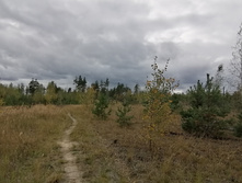 IMG 20200918 142959.jpg