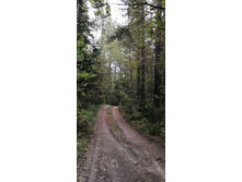 IMG 20200920 133957.jpg