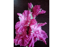 ������� (�����)