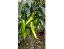 ����� ���������� (1).jpg