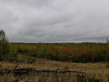 IMG 20200919 132229.jpg