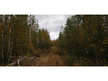 IMG 20200919 125733.jpg