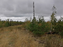 IMG 20200919 125935.jpg