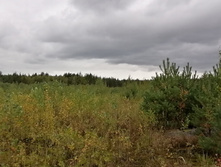 IMG 20200918 125508.jpg