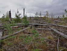 IMG 20200918 131703.jpg