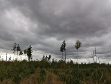 IMG 20200918 140617.jpg